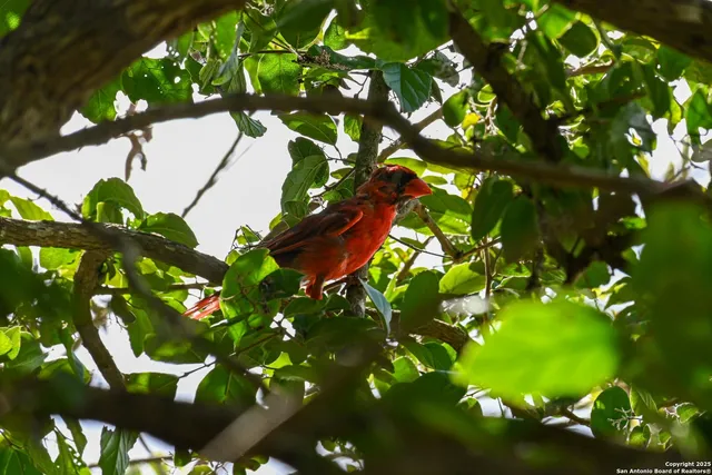 a view of a bench in a back yard