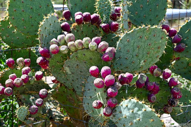 a view of a lake with a yard