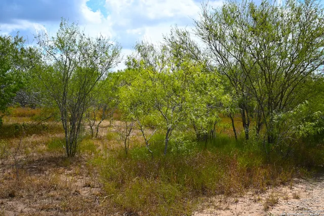 a view of a lake from a yard