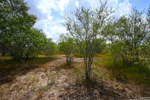 $99,000 | 10-acres Cr 152, Kenedy, TX 78119