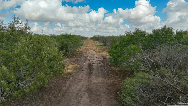 a view of a lake with lots of trees