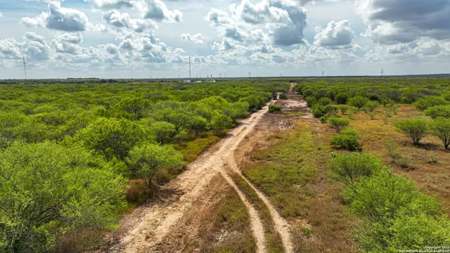 a view of outdoor space and garden
