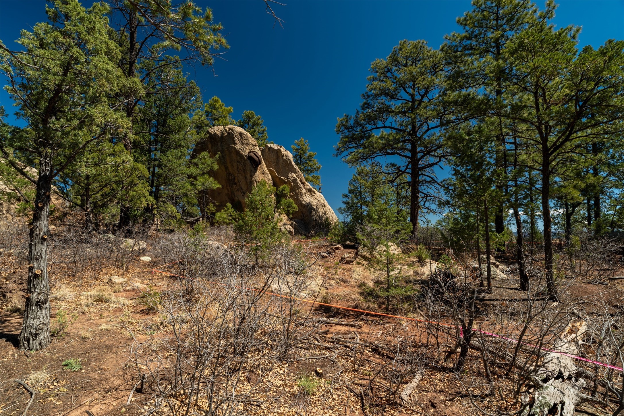 30 Monte La Cueva Road Glorieta, NM 87535 - Photo 2 of 91 Proposed home site