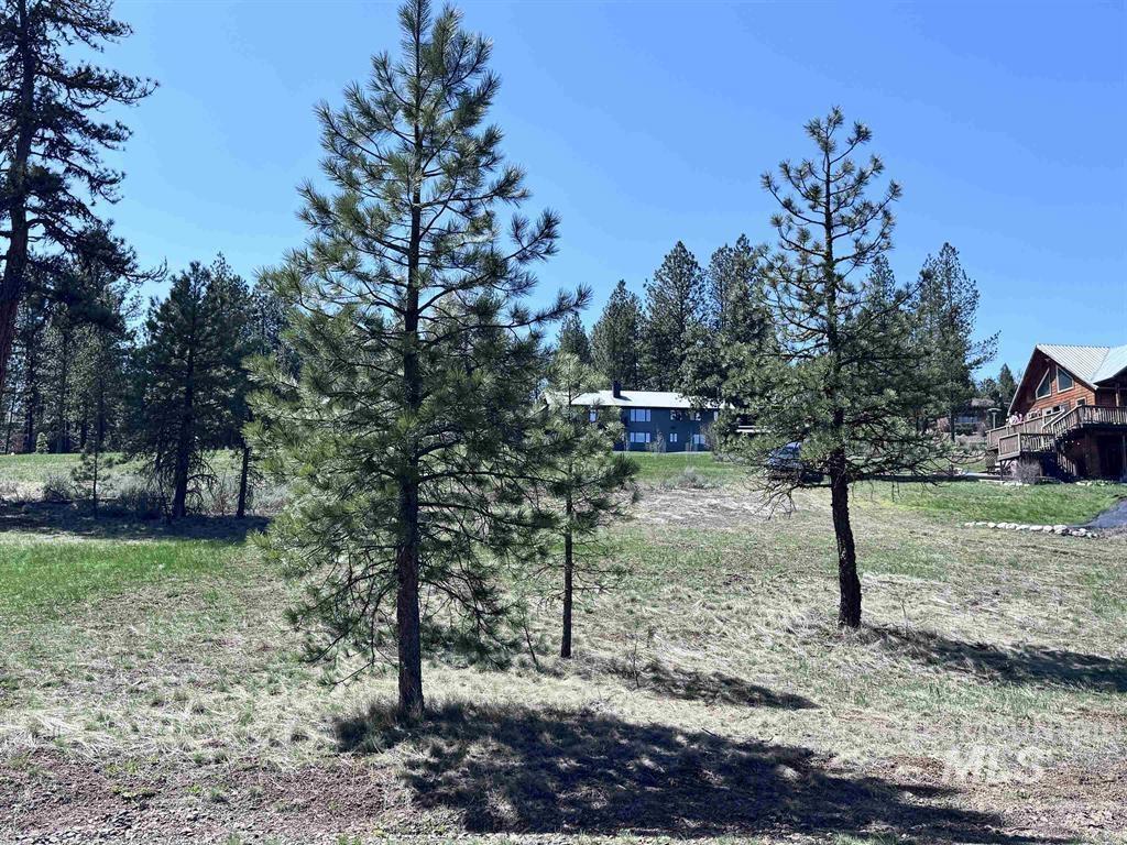 Lot 19 Hot Springs Road New Meadows, ID 83654 - Photo 15 of 28
