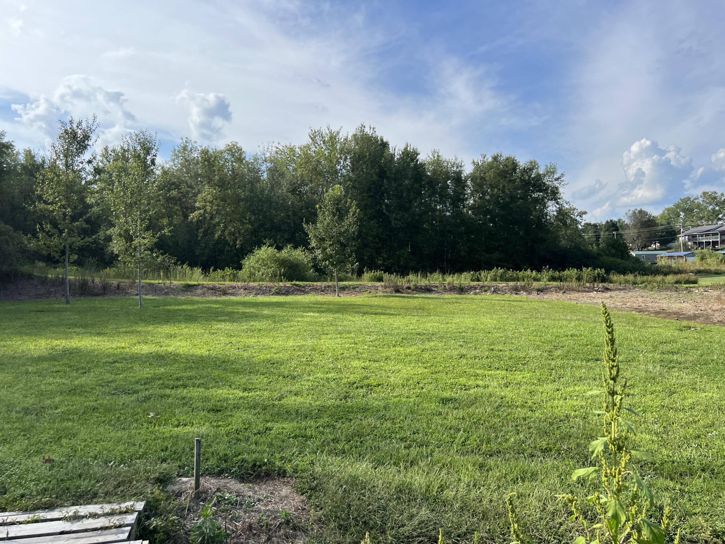 933 Ringgold Road Somerset, KY 42503 - Photo 82 of 93 IMG_5935