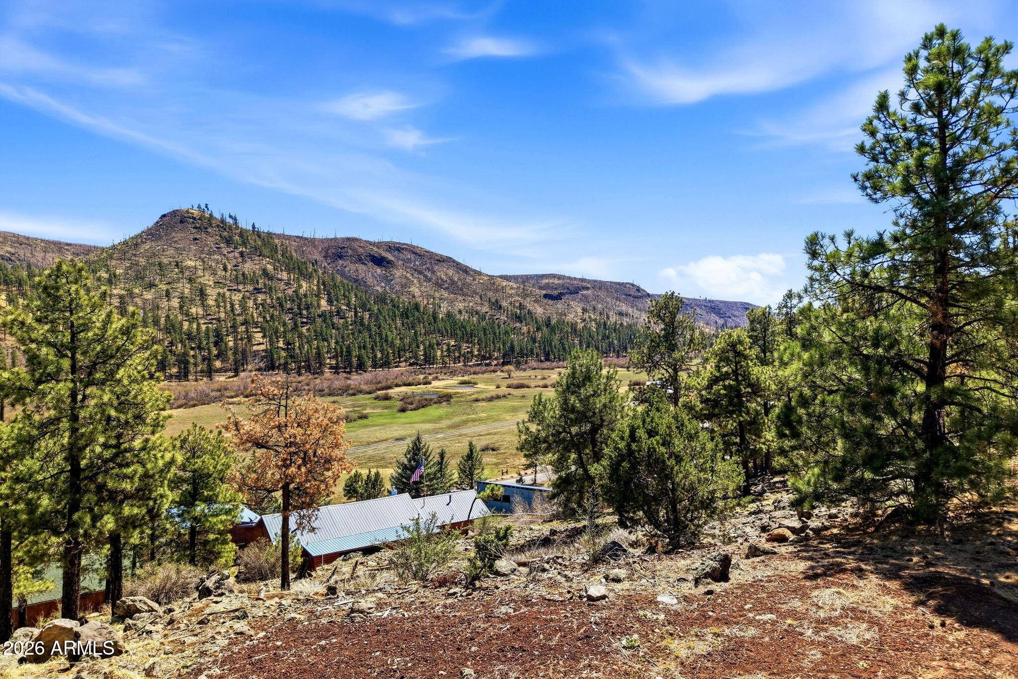 2 County Road 1013, Unit 12 Greer, AZ 85927 - Photo 1 of 15 a view of an outdoor space with mountain view