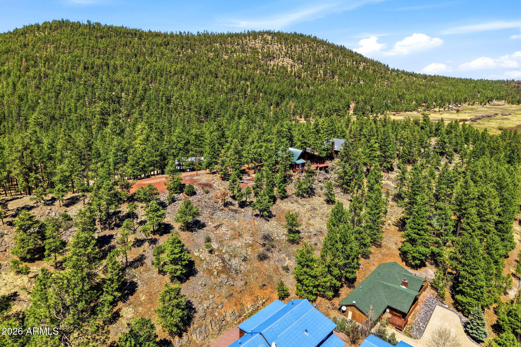 2 County Road 1013, Unit 12 Greer, AZ 85927 - Photo 11 of 15 view of a green field with lots of bushes