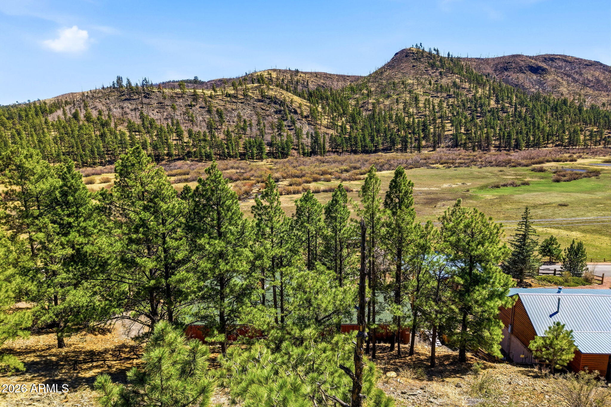 2 County Road 1013, Unit 12 Greer, AZ 85927 - Photo 3 of 15 a view of lake with mountain
