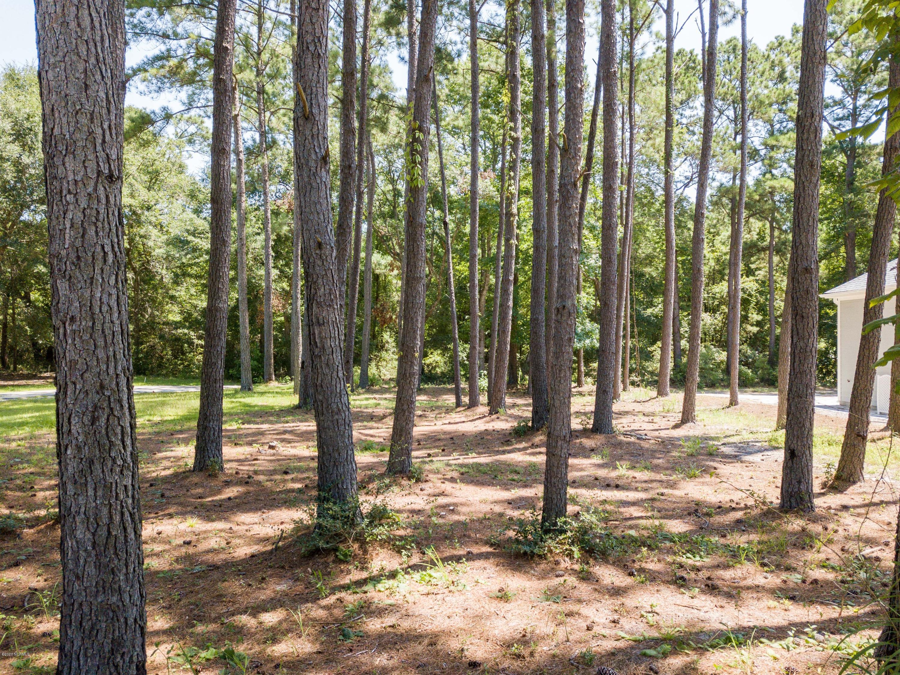 9261 West Lake Road Calabash, NC 28467 - Photo 4 of 13 DevaughnPark-16