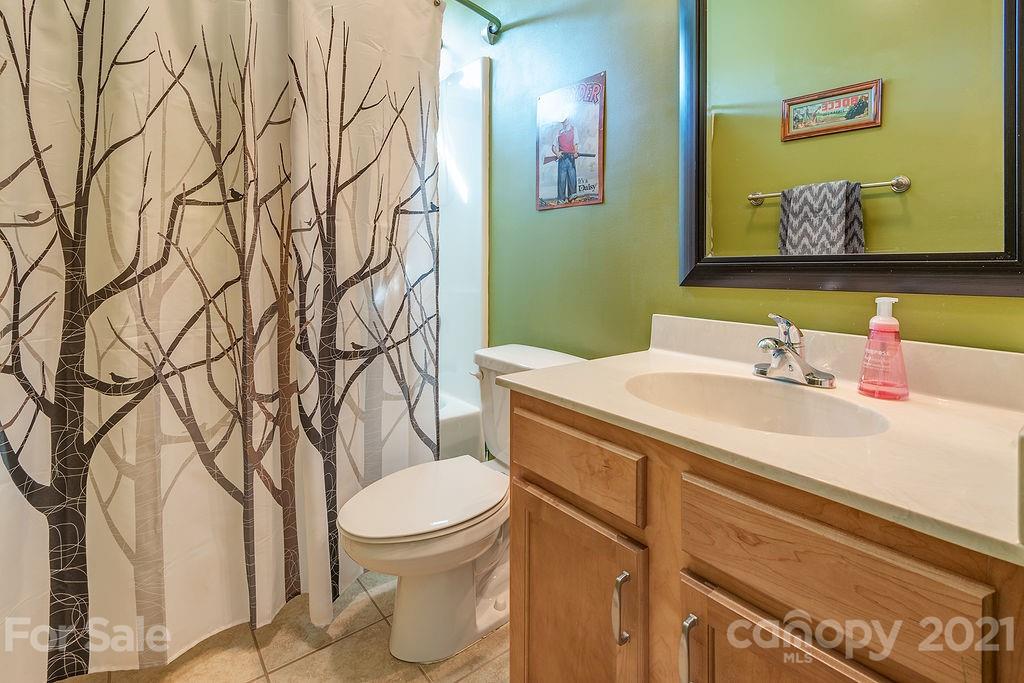 42 Davidson Road Asheville, NC 28803 - Photo 19 of 25 Gallery Image 19