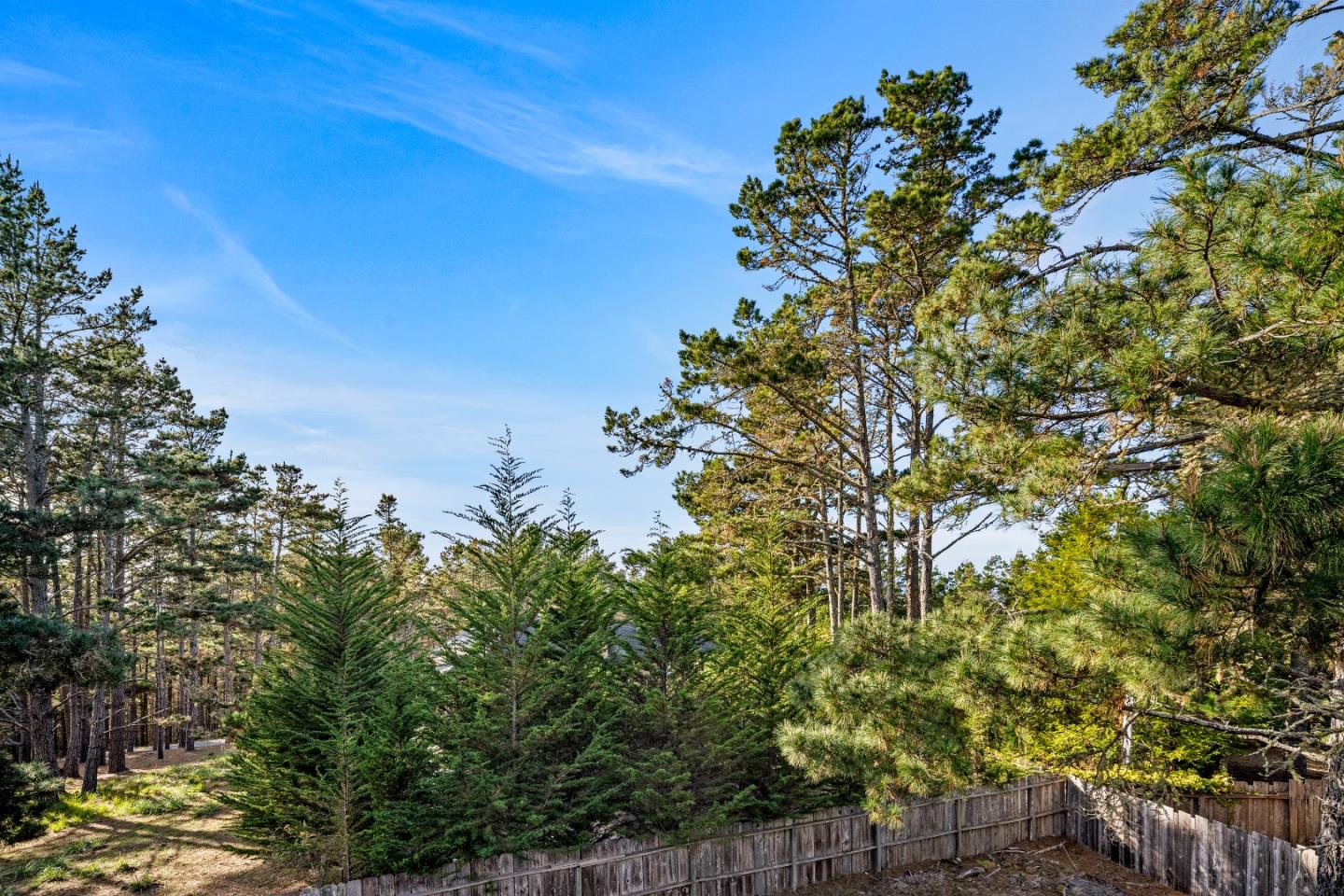 4044 Sunset Lane Pebble Beach, CA 93953 - Photo 38 of 39 a view of a tree with a tree in front of it