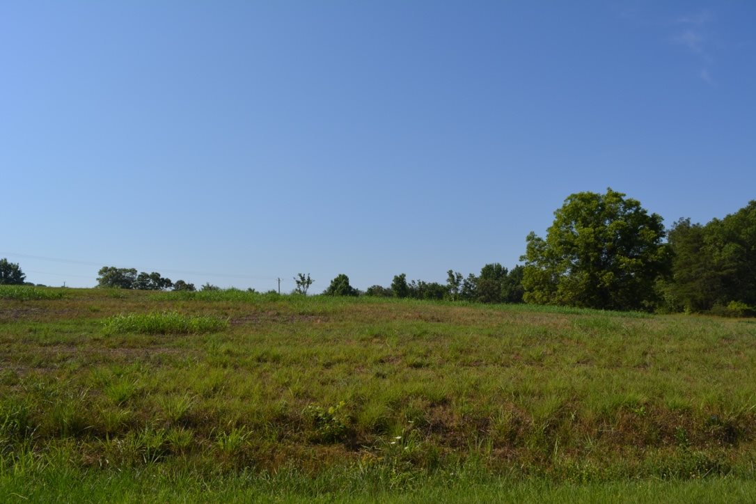 Lot 3 Gramling School Road Inman, SC 29349 - Photo 22 of 24