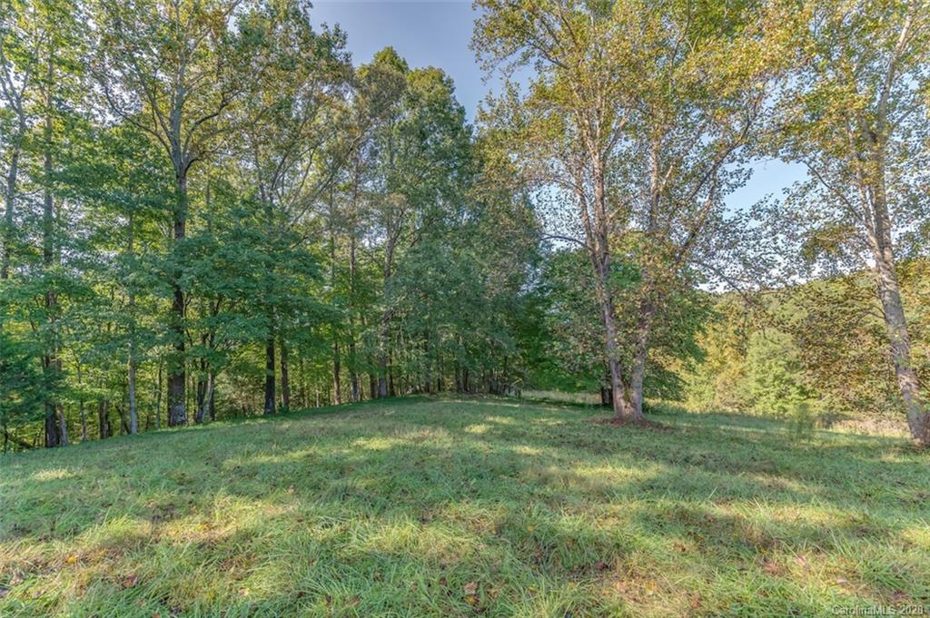 517 Pleasant Hill Loop Road Rutherfordton, NC 28139 - Photo 34 of 48