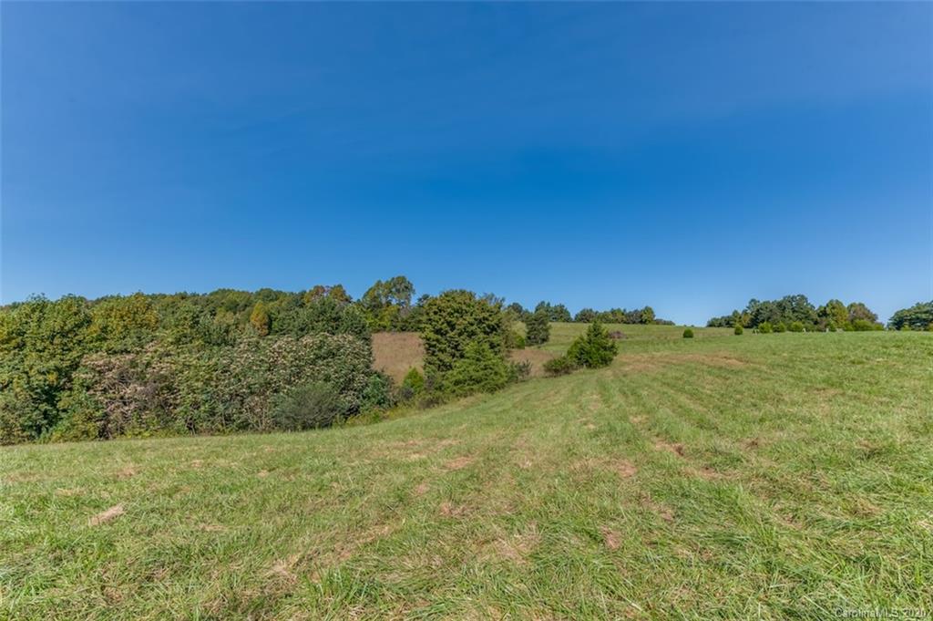 517 Pleasant Hill Loop Road Rutherfordton, NC 28139 - Photo 36 of 48