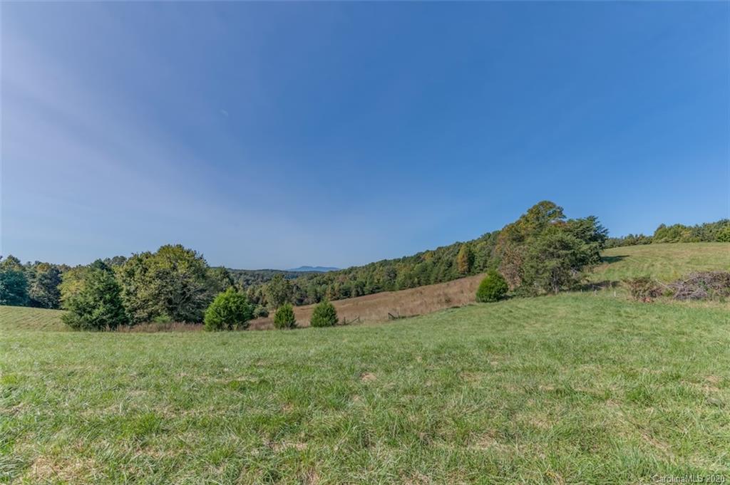 517 Pleasant Hill Loop Road Rutherfordton, NC 28139 - Photo 37 of 48