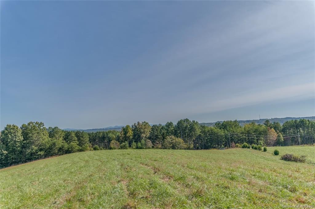 517 Pleasant Hill Loop Road Rutherfordton, NC 28139 - Photo 40 of 48