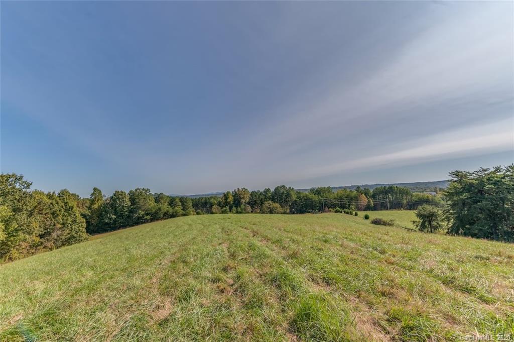 517 Pleasant Hill Loop Road Rutherfordton, NC 28139 - Photo 41 of 48