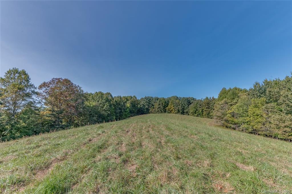 517 Pleasant Hill Loop Road Rutherfordton, NC 28139 - Photo 42 of 48