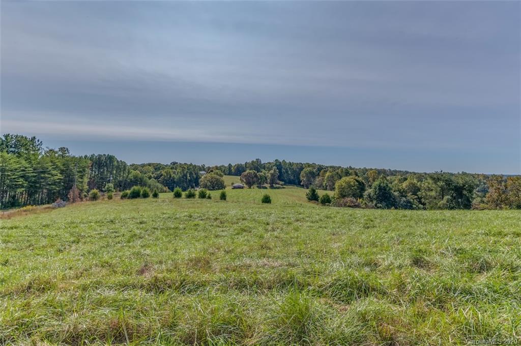 517 Pleasant Hill Loop Road Rutherfordton, NC 28139 - Photo 44 of 48