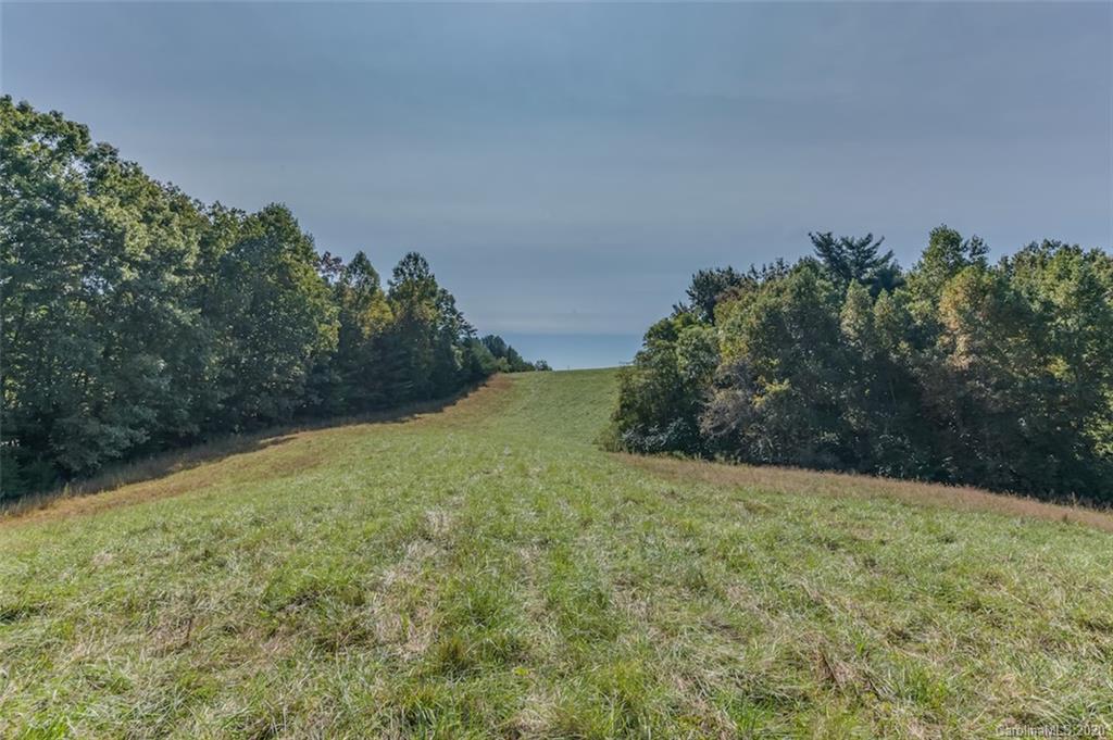 517 Pleasant Hill Loop Road Rutherfordton, NC 28139 - Photo 45 of 48