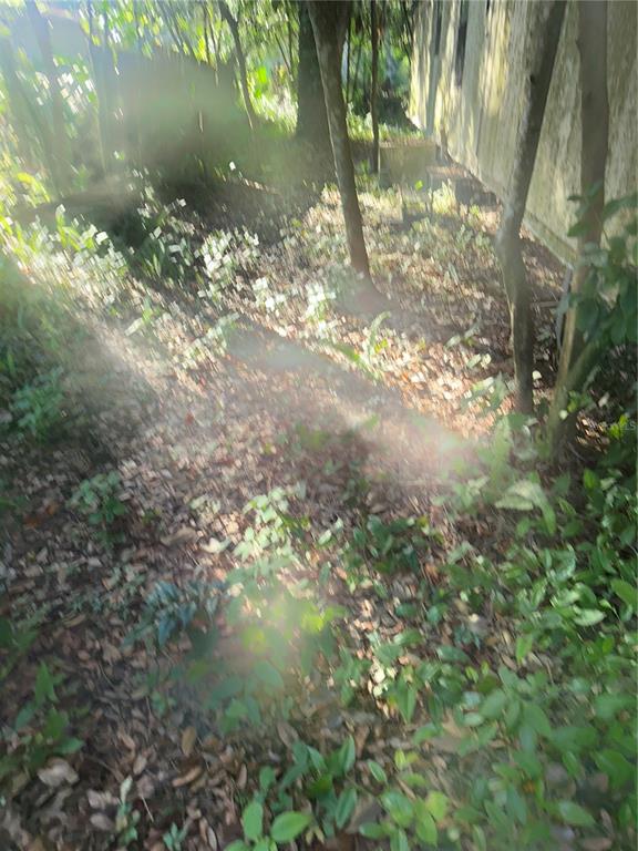 1128 Jackson Avenue Spring Hill, FL 34604 - Photo 9 of 12