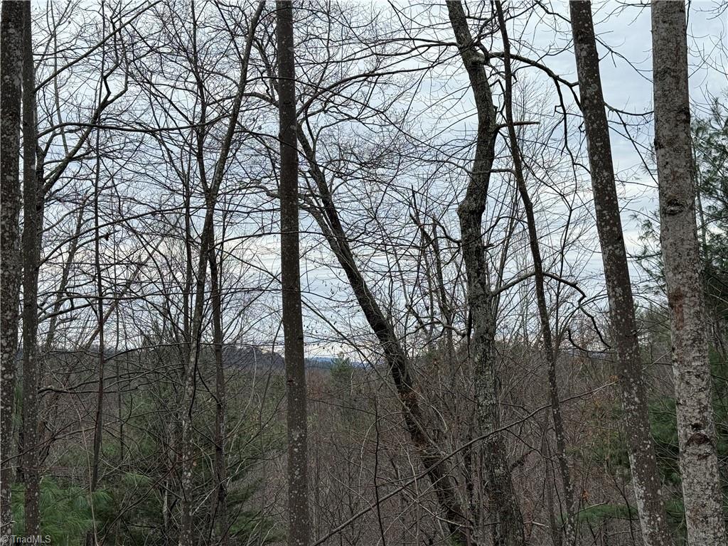Lot 218 Casey Mountain Road Purlear, NC 28665 - Photo 14 of 42 Mountain Views