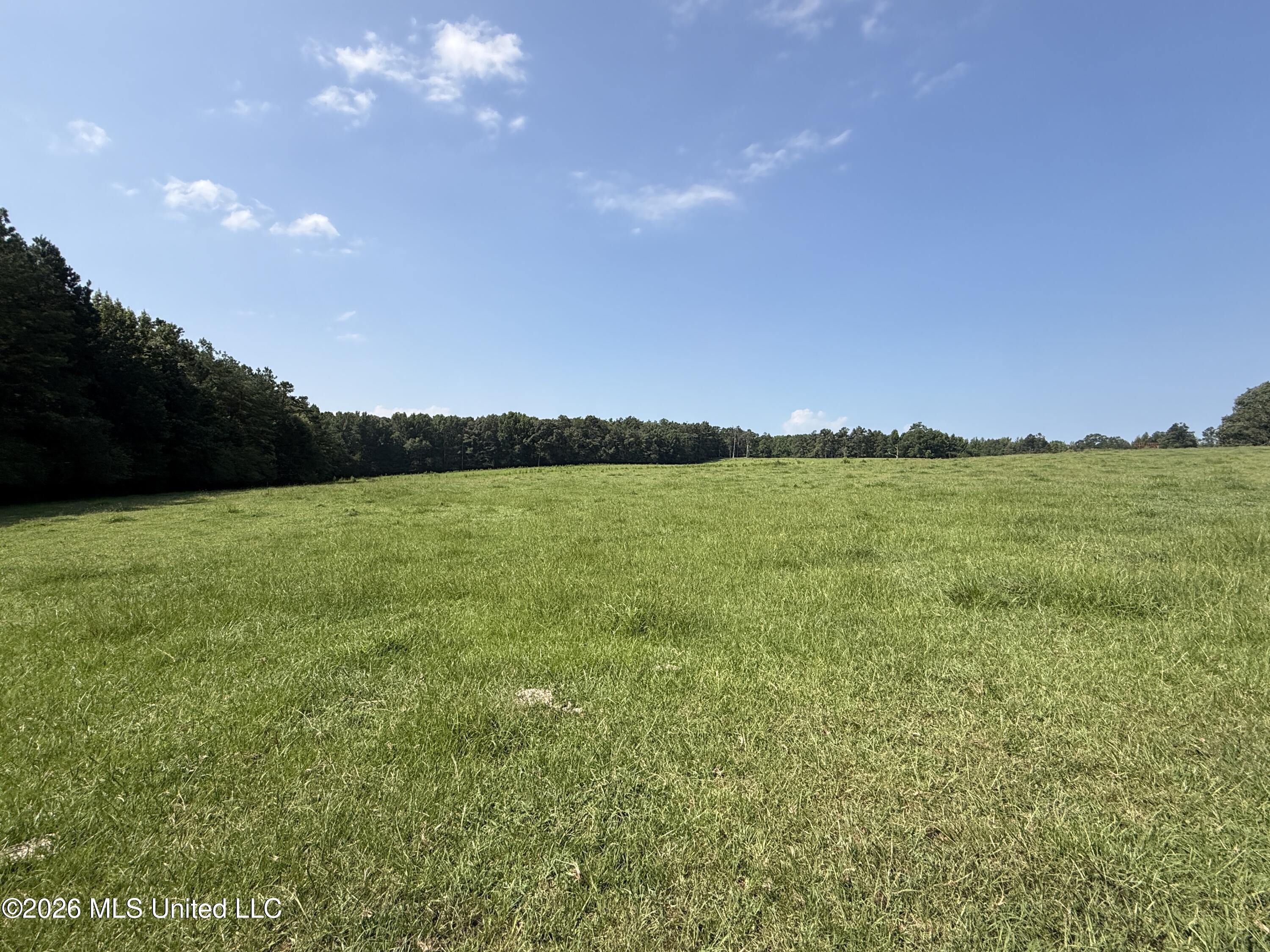 Monte Vista Road Eupora, MS 39744 - Photo 19 of 54 IMG_6413