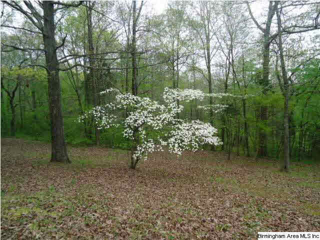 6839 Old Springville Road Trussville, AL 35173 - Photo 3 of 17