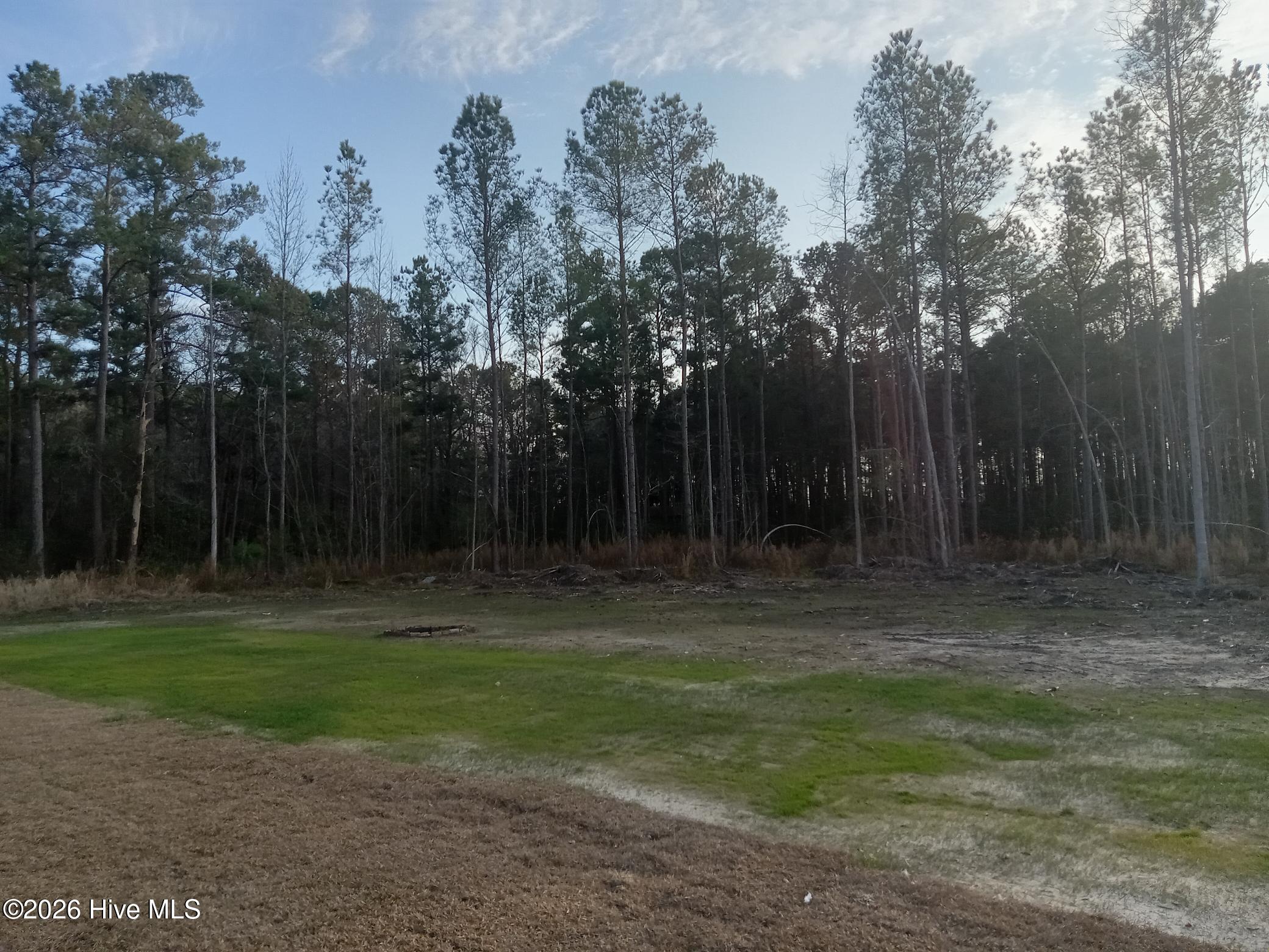 1257 Bill Hooks Road Whiteville, NC 28472 - Photo 24 of 25 1000013497