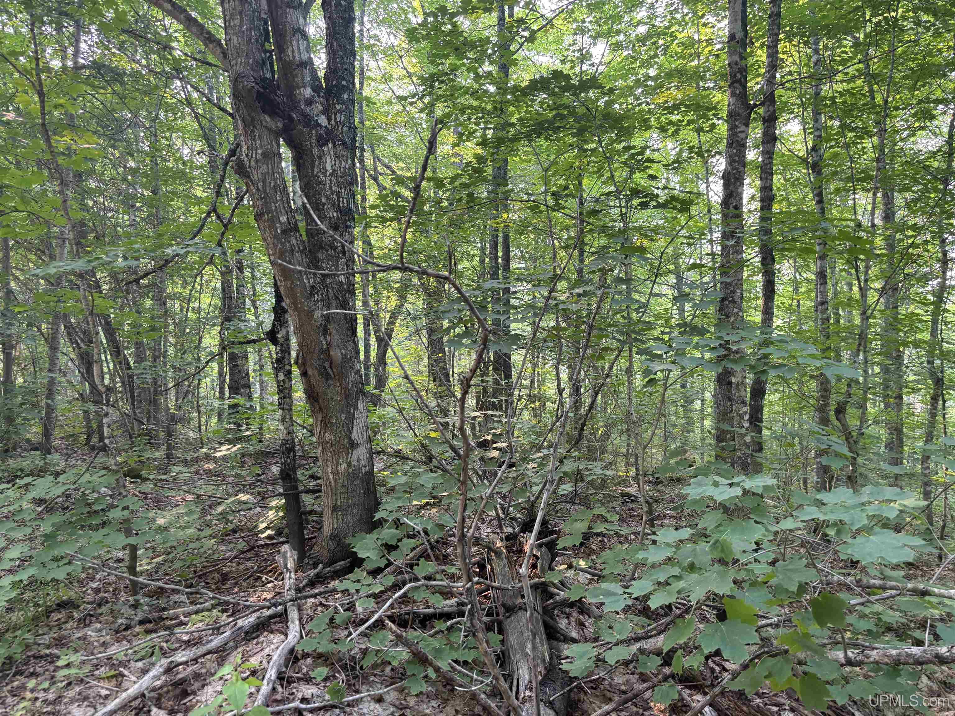 Tbd South Mandan Road Copper Harbor, MI 49918 - Photo 14 of 17 Gallery Image 14