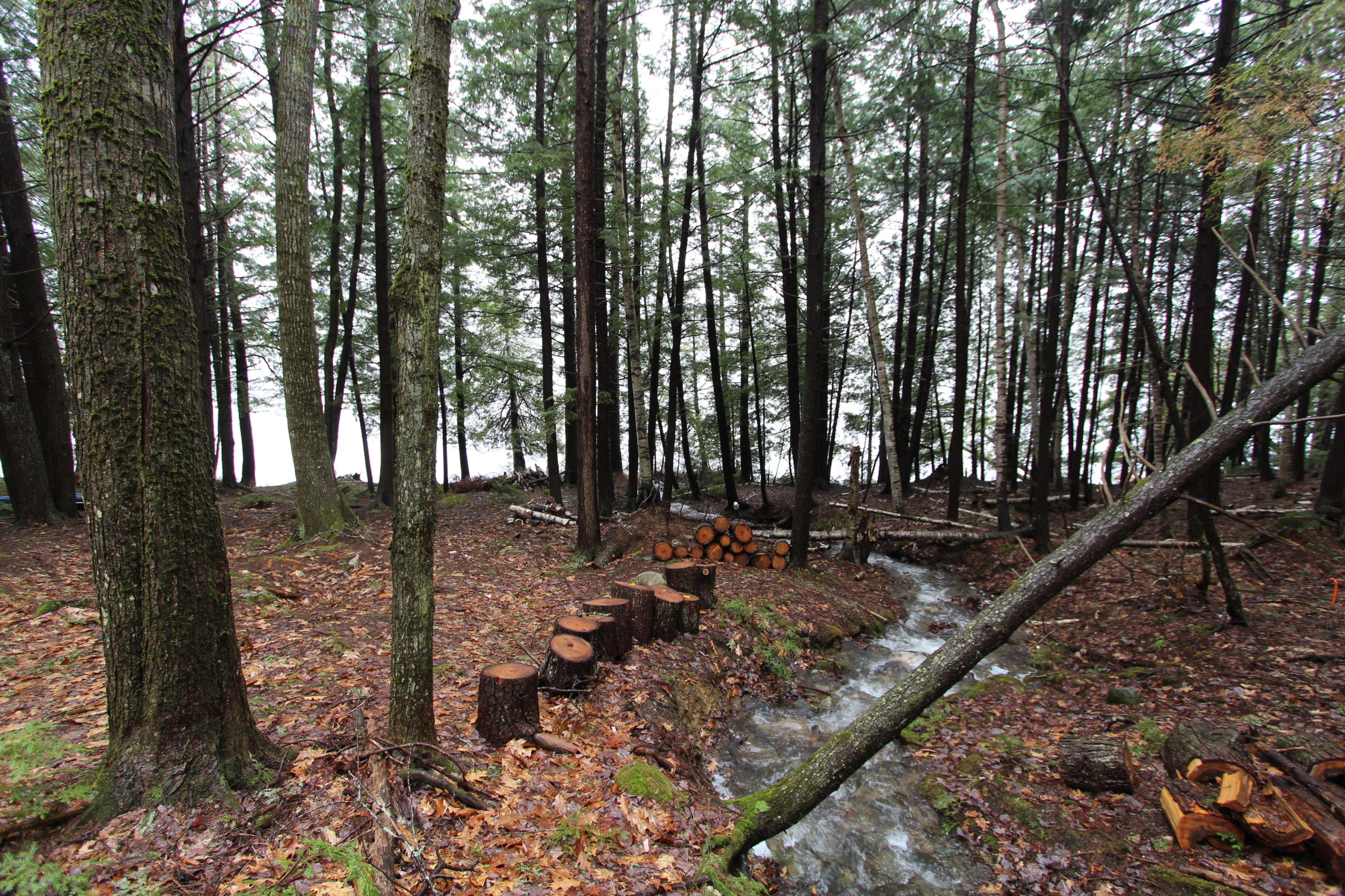 Tbd East Tbd E Shore Road Chesterville, ME 04938 - Photo 10 of 13 IMG_9712