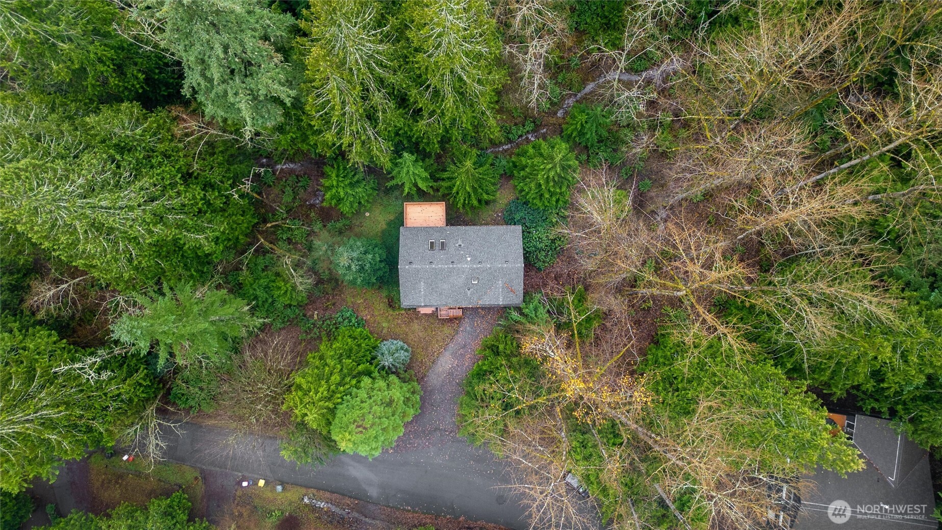 36 Holly View Way Bellingham, WA 98229 - Photo 36 of 40 an aerial view of a house with a yard and large trees