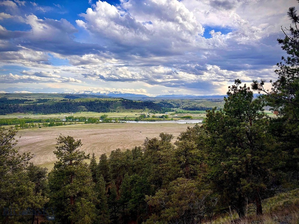 215 Shank Basin West Road Reed Point, MT 59069 - Photo 21 of 42 Gallery Image 21