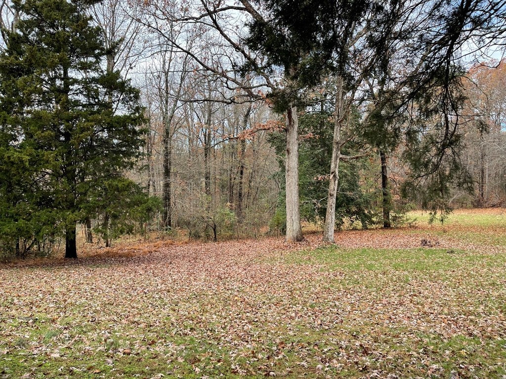 107 Carters Point Road Buffalo Junction, VA 24529 - Photo 25 of 25 Side yard