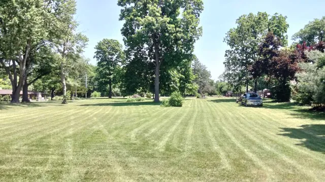 a view of yard with swimming pool