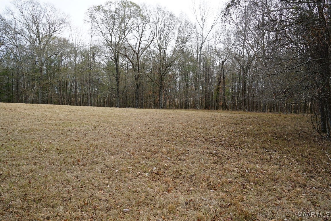 2434 Peake Road Ramer, AL 36069 - Photo 8 of 24 Gallery Image 8