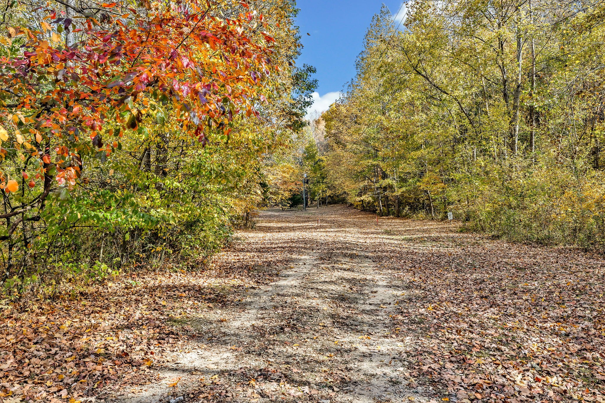 16 Ratliff Road Summertown, TN 38483 - Photo 3 of 44 Gallery Image 3