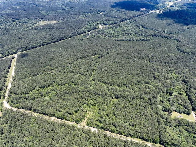 a view of a dry yard