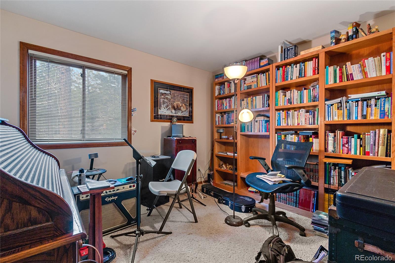 30550 Rand Road Conifer, CO 80433 - Photo 21 of 33 Gallery Image 21