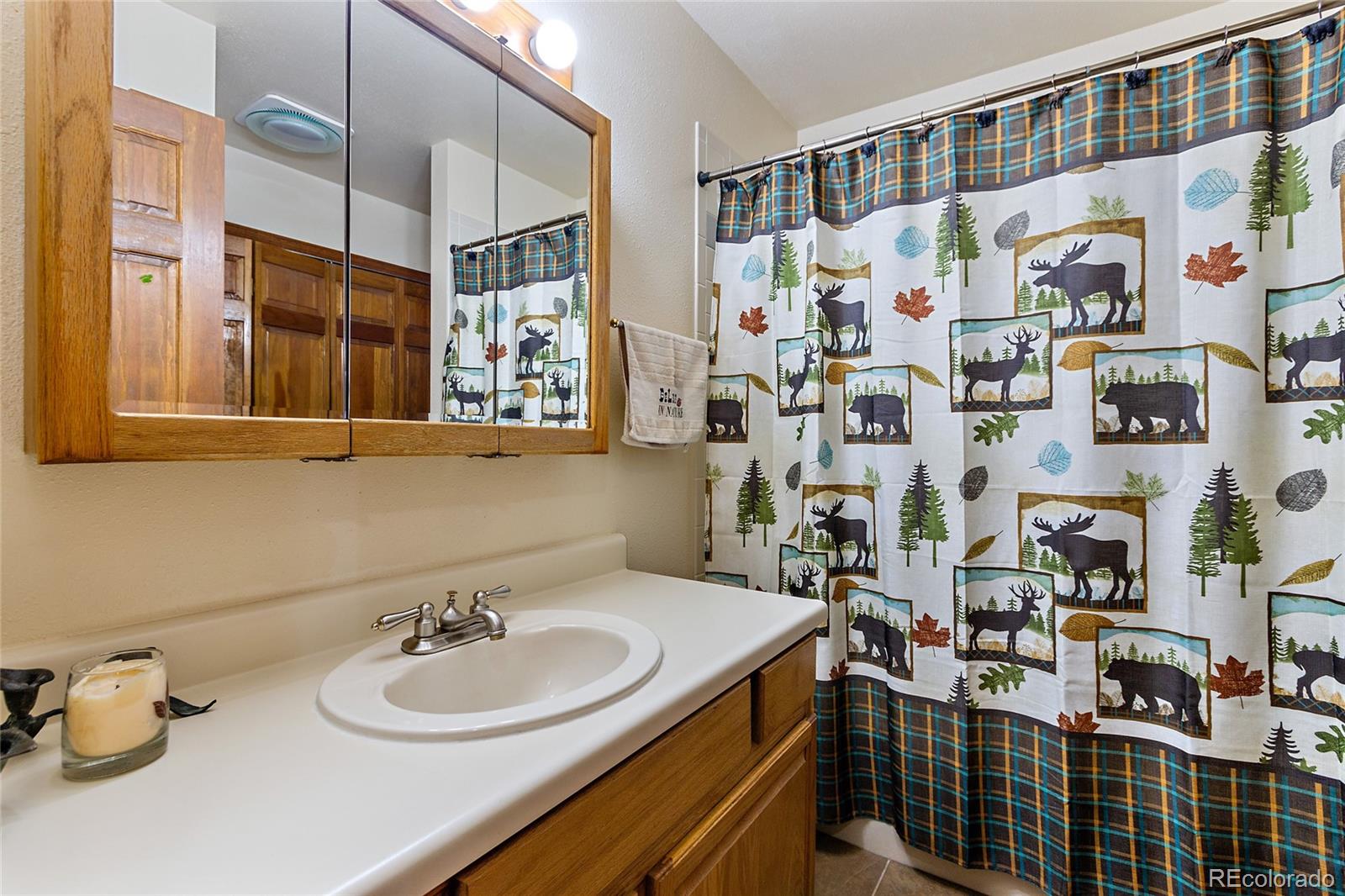 30550 Rand Road Conifer, CO 80433 - Photo 22 of 33 Gallery Image 22