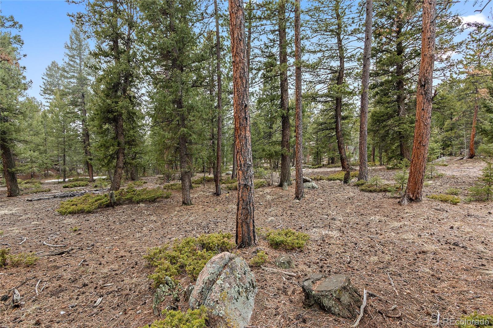 30550 Rand Road Conifer, CO 80433 - Photo 32 of 33 Gallery Image 32