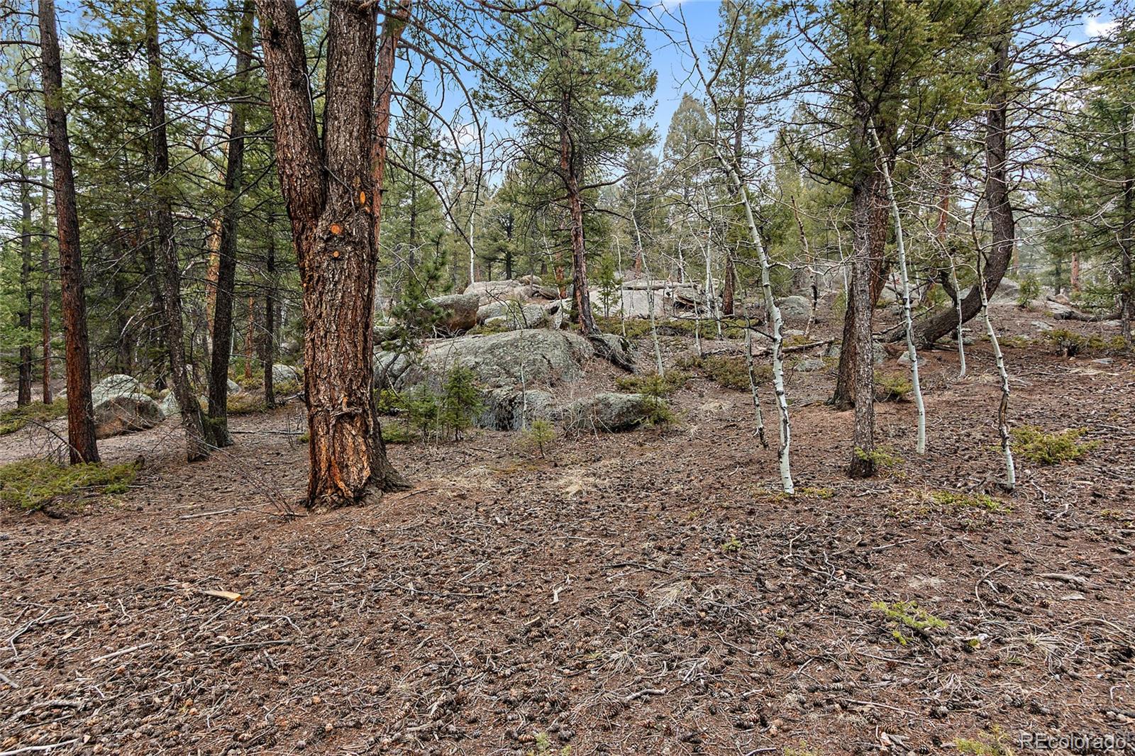 30550 Rand Road Conifer, CO 80433 - Photo 33 of 33 Gallery Image 33