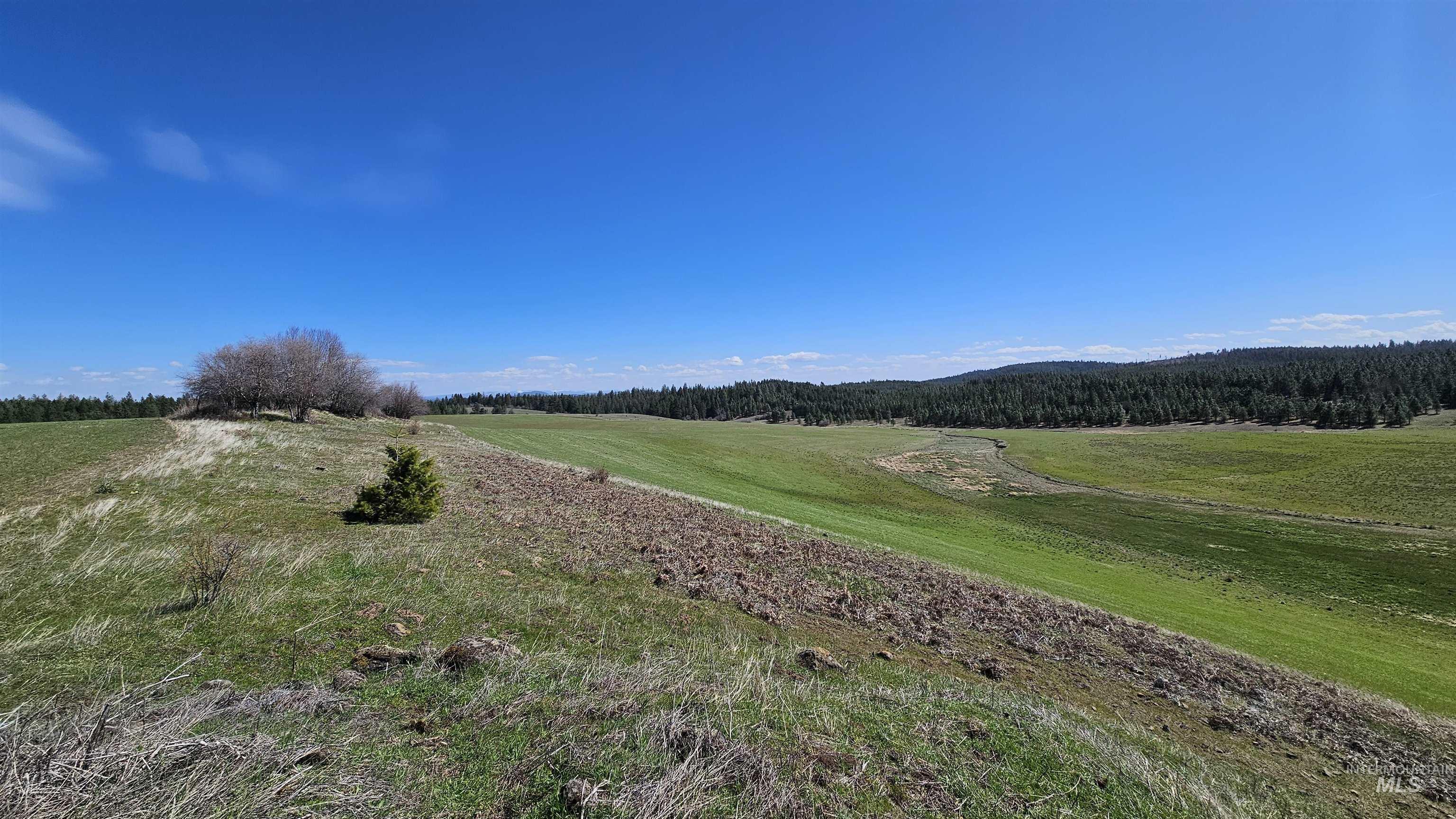 3592 Freeman Ck Road Lenore, ID 83541 - Photo 41 of 50