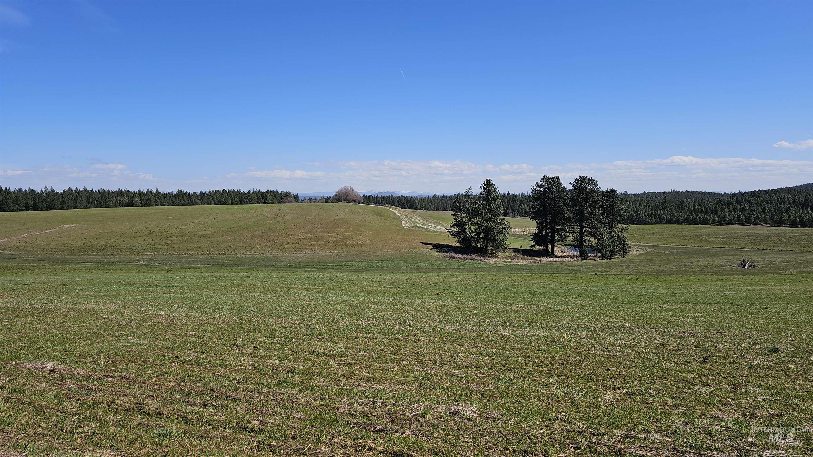 3592 Freeman Ck Road Lenore, ID 83541 - Photo 42 of 50