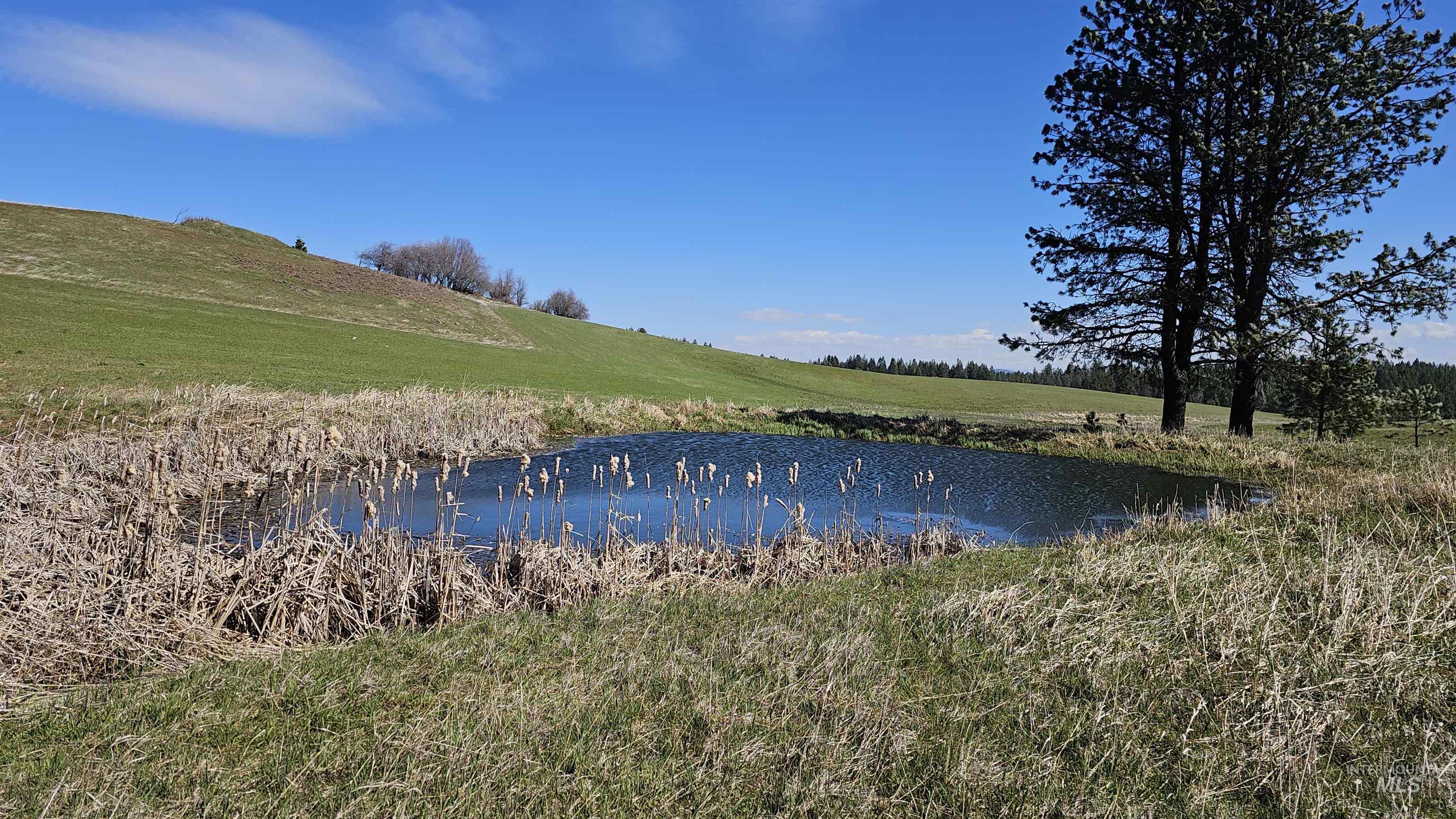 3592 Freeman Ck Road Lenore, ID 83541 - Photo 43 of 50