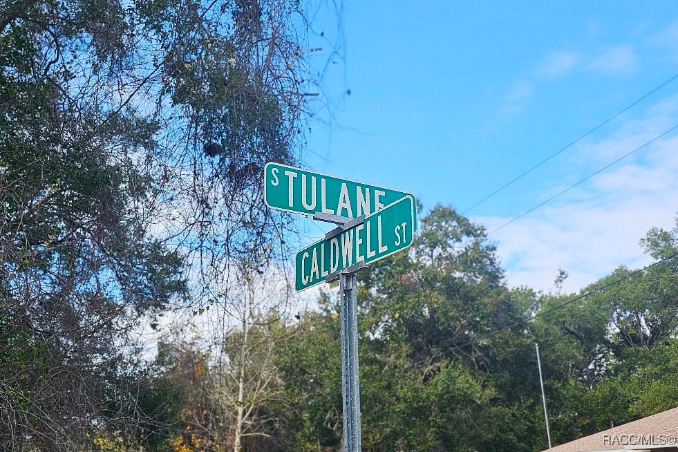 916 Tulane Terrace Inverness, FL 34450 - Photo 9 of 9 Gallery Image 9