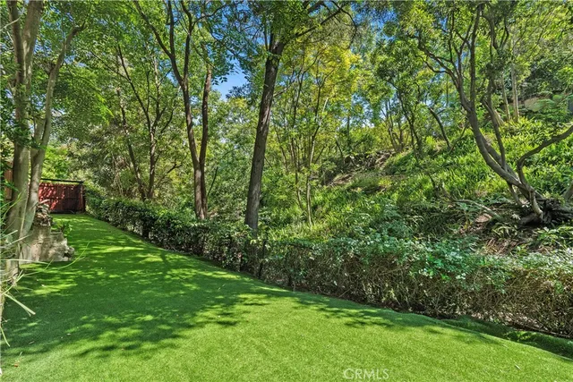 a view of a yard with a trees