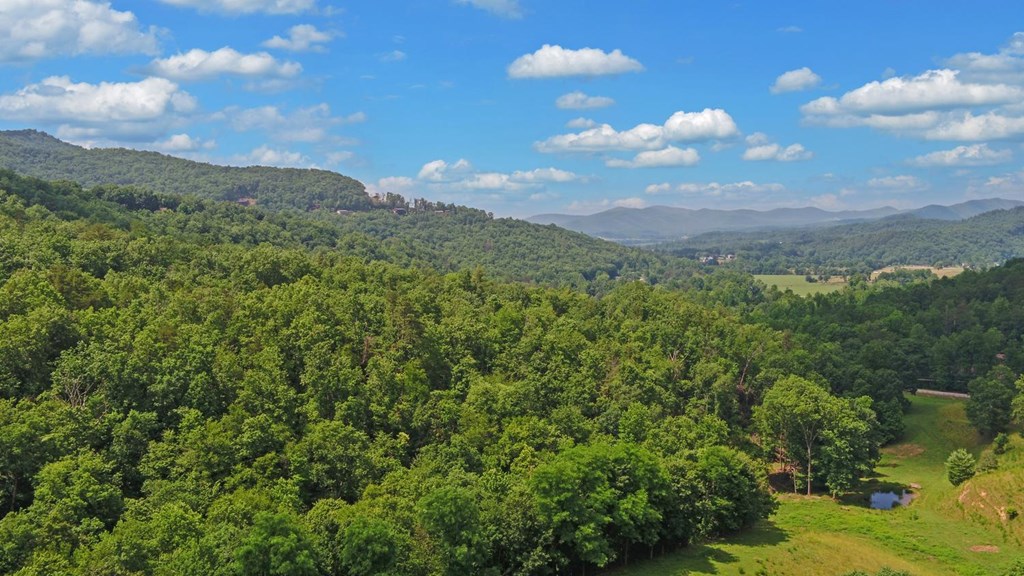 215 Black Bear Ridge Murphy, NC 28906 - Photo 37 of 39
