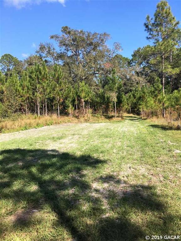 Tbd Southwest 105th Street Brooker, FL 32622 - Photo 1 of 1