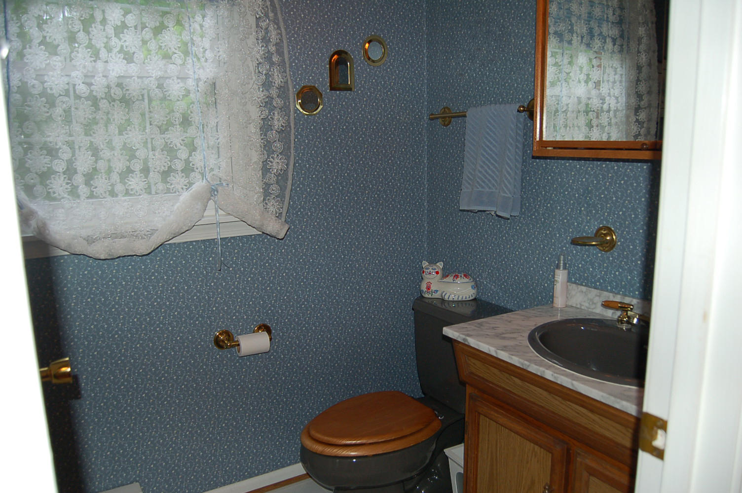 384 Pin Oak Drive Blue Ridge, VA 24064 - Photo 29 of 57 a bathroom with a toilet and a sink
